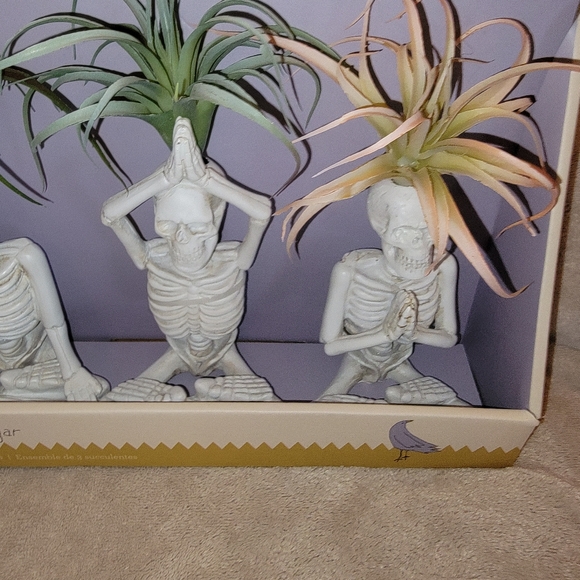 Yoga Skeleton Air Plant trio - Picture 2 of 3